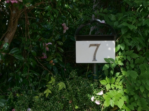 Leafy shady Letterbox for #7 - Australian Stock Image