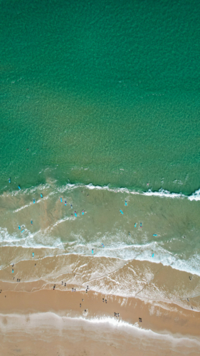 Learning to surf in the Australian sunshine - Australian Stock Image