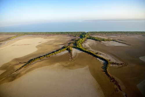 Leggy creeks - Australian Stock Image