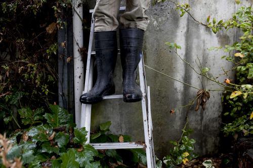 Legs of a man in gumboots on a ladder in the garden