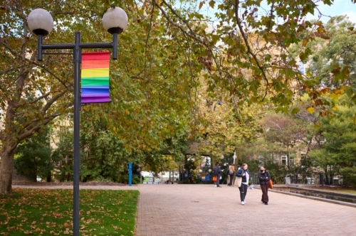 LGBTIQ+ Flag at a University Campus