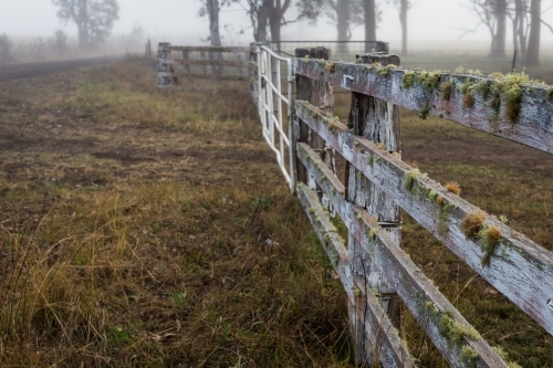 Lichen covered fence - Australian Stock Image