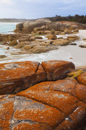 Lichen covered rocks at the water's edge - Australian Stock Image