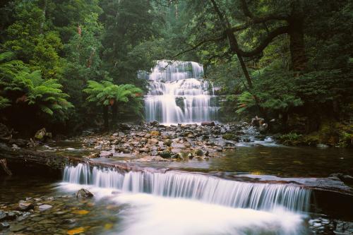 Liffey Falls - Australian Stock Image