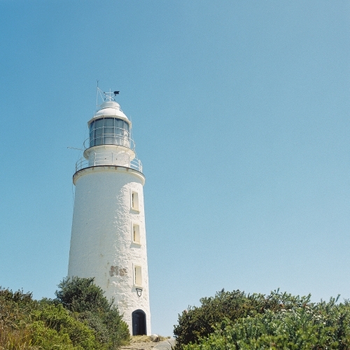 Lighthouse amongst the bushes - Australian Stock Image