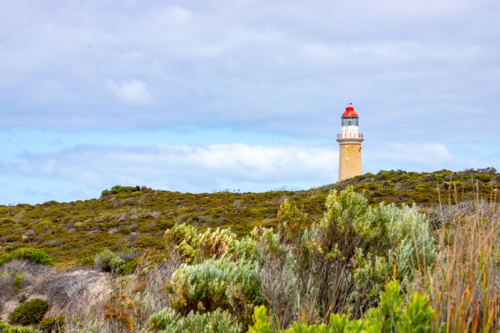 Lighthouse on Kangaroo Island - Australian Stock Image
