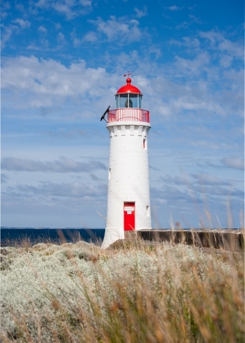 lighthouse with native grasses in the foreground - Australian Stock Image