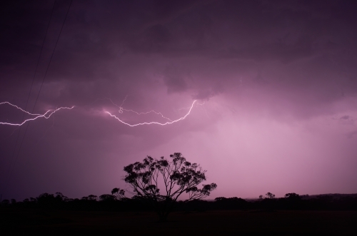 Lightning Bolt Over Australian Landscape