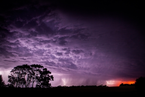 Lightning strikes in purple sky at sunset - Australian Stock Image