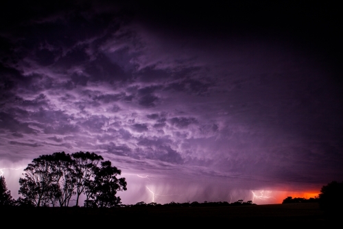 Lightning strikes in purple sky at sunset