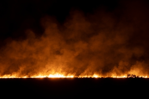 Line of bushfire at night