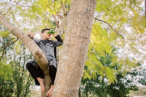 Little batman boy climbing a tree in the garden looking through a binocular - Australian Stock Image