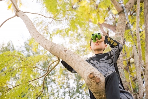 Little batman boy climbing a tree in the garden looking through a binocular - Australian Stock Image