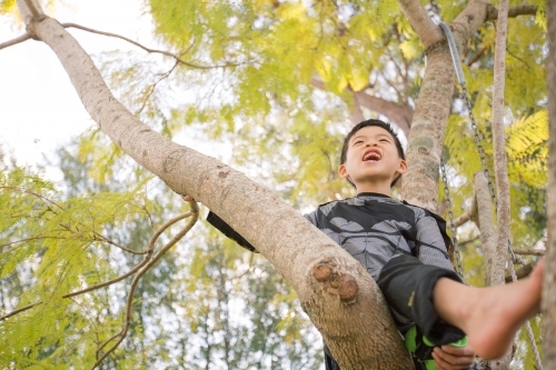 Little boy dressed as batman climbing a tree in the garden on a beautiful day