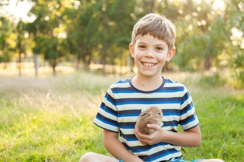 little boy holding his pet a baby bunny rabbit