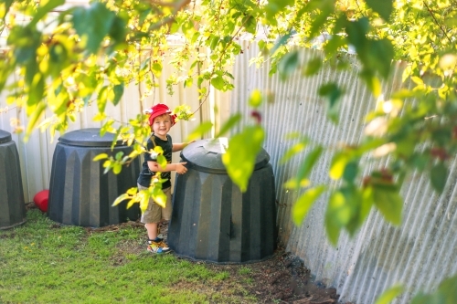 Little boy partially obscured by mulberry tree checking compost bins in backyard - Australian Stock Image