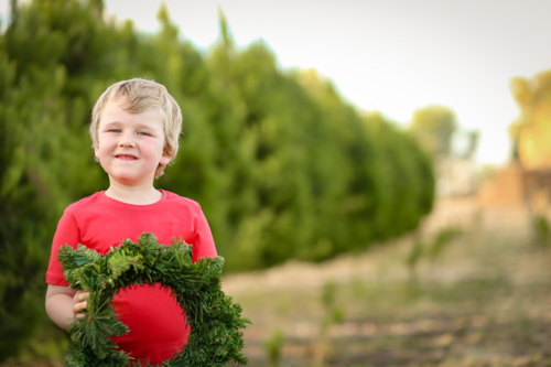 Little boy standing in front of row of Christmas trees on farm holding wreath - Australian Stock Image