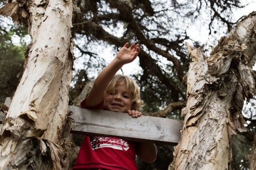 Little boy up in a tree house, waving below - Australian Stock Image