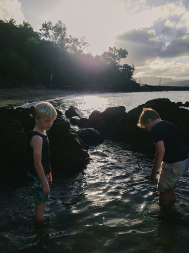 Little boys exploring in the water among rocks in afternoon light at Airlie Beach - Australian Stock Image