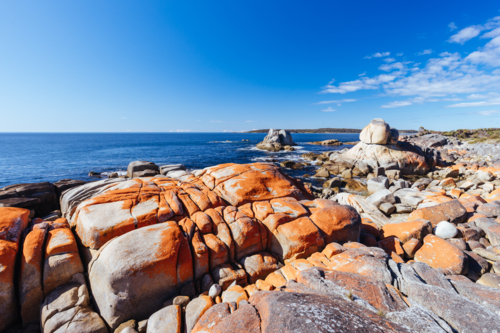 Little Elephant Bay on the Skeleton Bay Walk Humbug at Point Nature Recreation Area Bay of Fires - Australian Stock Image