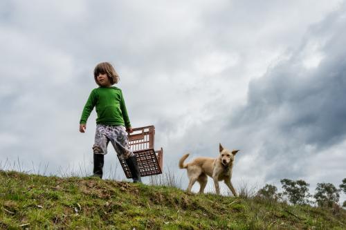 Little girl & her dog walking on grass - Australian Stock Image