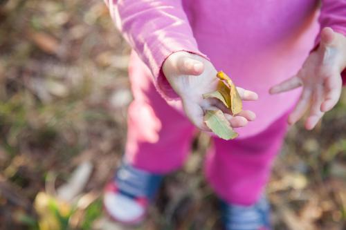 Little girl holding yellow autumn leaves in her hand - Australian Stock Image