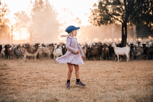 Little girl on farm dancing with the goats