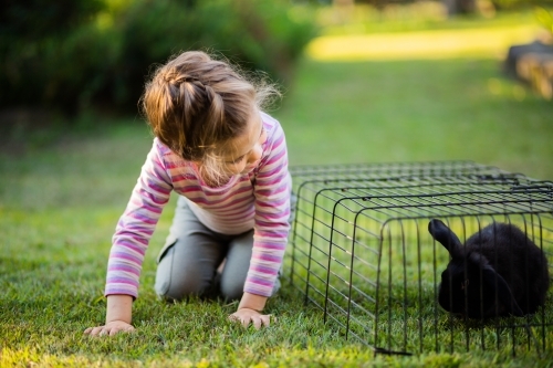 Little girl outside pretending to be a rabbit with her bunny - Australian Stock Image
