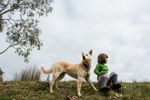 Little girl sitting on grass with her dog - Australian Stock Image