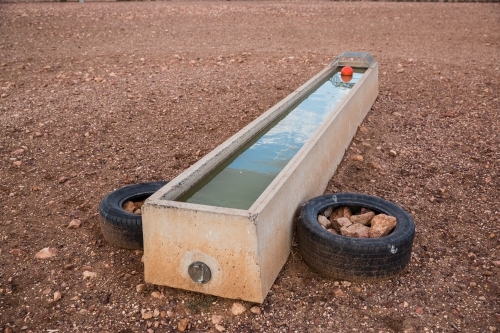 Livestock water trough - Australian Stock Image