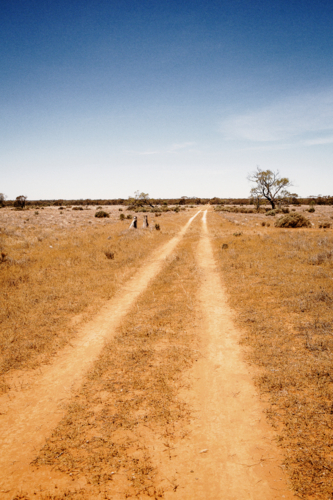 Long dusty dirt path at the park with dry and sparse vegetation - Australian Stock Image