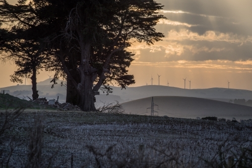 Long evening view of Ballarat windfarm
