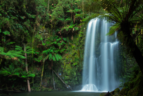 Long exposure of Beauchamp Falls waterfall rainforest in the Great Otway National Park - Australian Stock Image