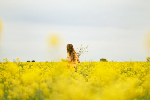 Long haired girl playing in vibrant canola field in full bloom during Spring season - Australian Stock Image