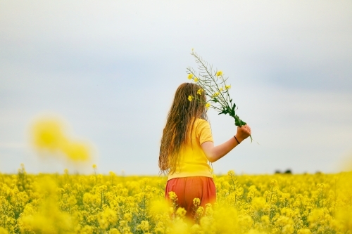 long haired girl playing in vibrant canola field in full bloom during Spring season - Australian Stock Image