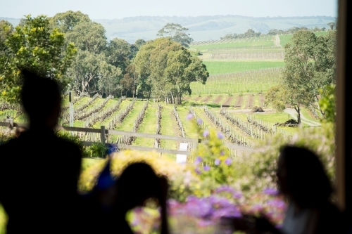 Long lunch looking over vineyards - Australian Stock Image