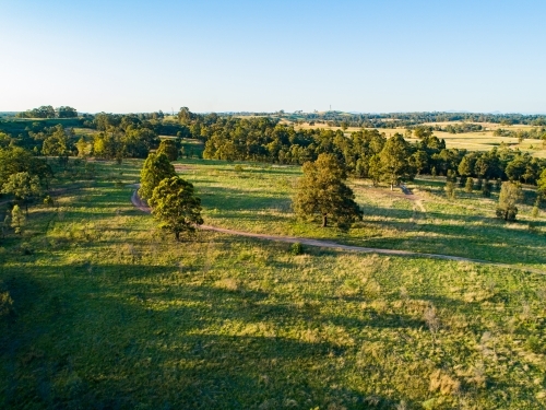 Long shadows in paddock of gum trees and green grass in Hunter Valley - Australian Stock Image