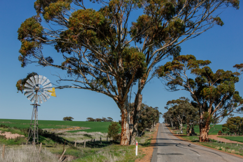long straight road with windmill and trees - Australian Stock Image