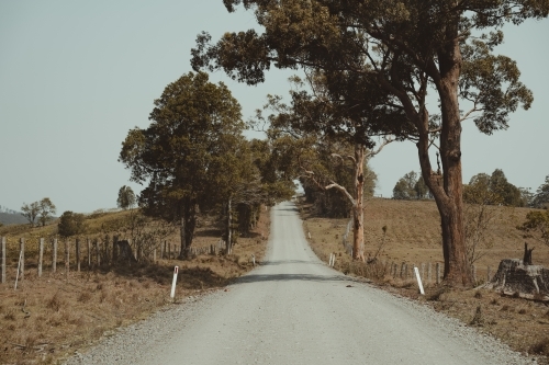 Looking down a country gravel road in rural New South Wales.