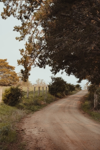 Looking down a dirt road next to a farm - Australian Stock Image