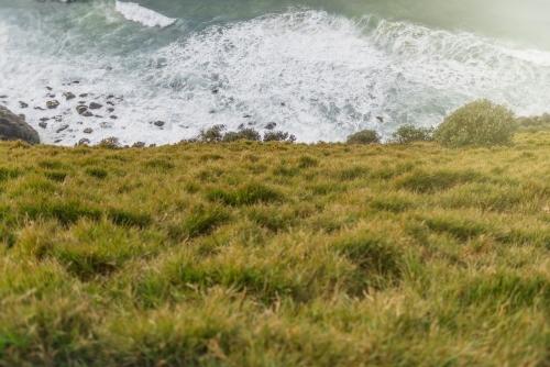 Looking down a grassy headland into the ocean