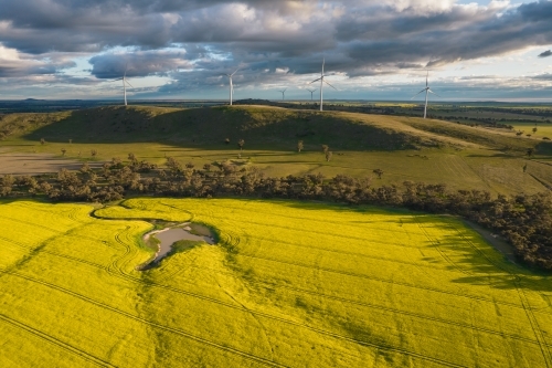 Looking down at canola fields leading into the distance in the Mallee. - Australian Stock Image