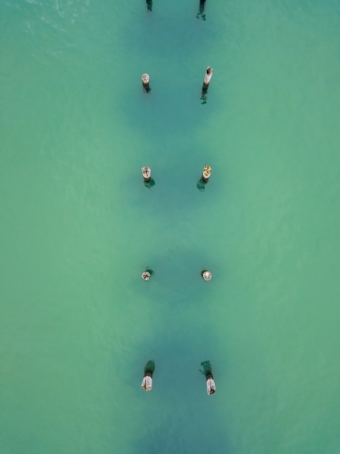 Looking down on a row of old jetty pylons in turquoise water - Australian Stock Image