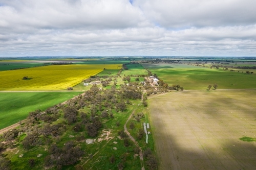Looking down on canola, wheat and other grain crops in the Mallee. - Australian Stock Image