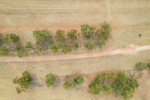 Looking down on dirt path with trees on either side. - Australian Stock Image