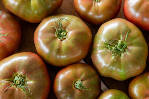 Looking down on harvested Cherokee Purple tomatoes. - Australian Stock Image