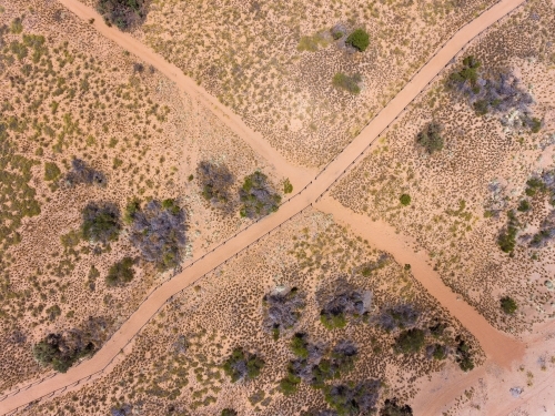 looking down onto a coastal path and walkway intersecting - Australian Stock Image