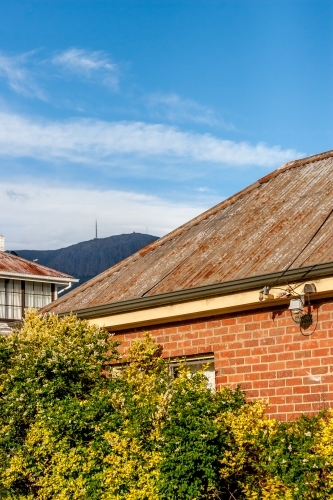 Looking over house rooftops in South Hobart to Mount Wellington