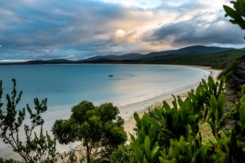 Looking over plants and trees, across a bay under a cloudy sky - Australian Stock Image