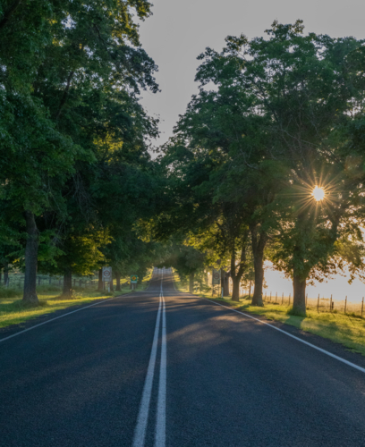 Looking strait down treelined country road early on a misty morning in the country - Australian Stock Image